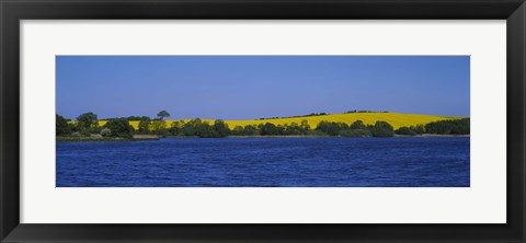 Framed Lake in front of a rape field, Holstein, Schleswig-Holstein, Germany Print