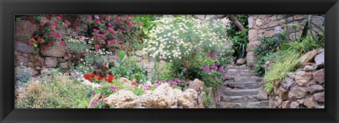 Framed Flowers in a garden, Tossa De Mar, Old town, Costa Brava, Catalonia, Spain Print