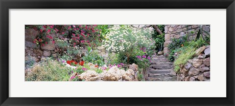 Framed Flowers in a garden, Tossa De Mar, Old town, Costa Brava, Catalonia, Spain Print