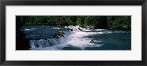 Framed Bears fish Brooks Fall Katmai AK Print