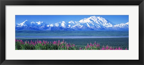 Framed Mountains &amp; Lake Denali National Park AK USA Print