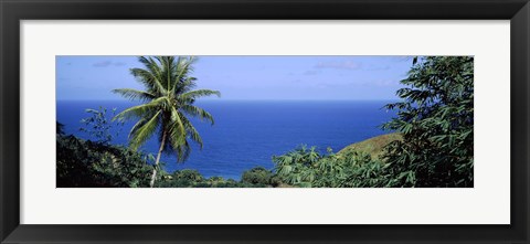 Framed Palm trees on the coast, Tobago, Trinidad And Tobago Print