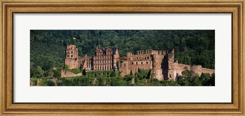 Framed Castle on a hillside, Heidelberg, Baden-Wurttemberg, Germany Print