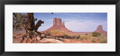 Framed Close-Up Of A Gnarled Tree With West And East Mitten, Monument Valley, Arizona, USA, Print