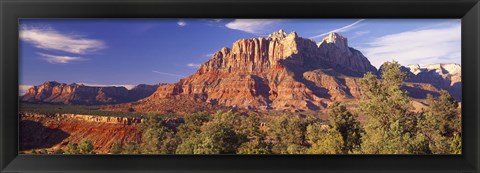 Framed Canyon surrounded with forest, Escalante Canyon, Zion National Park, Washington County, Utah, USA Print