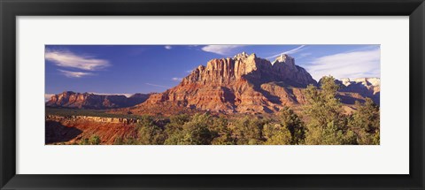 Framed Canyon surrounded with forest, Escalante Canyon, Zion National Park, Washington County, Utah, USA Print