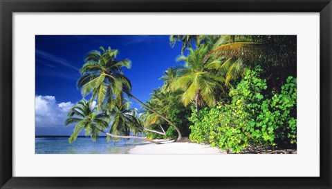 Framed Palm Beach The Maldives Print