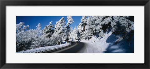 Framed Road passing through a forest, Lake Arrowhead, San Bernardino County, California, USA Print