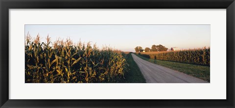 Framed Dirt road passing through fields, Illinois, USA Print