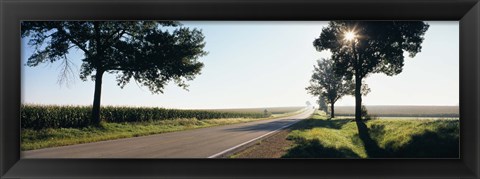 Framed Road passing through fields, Illinois Route 64, Illinois, USA Print