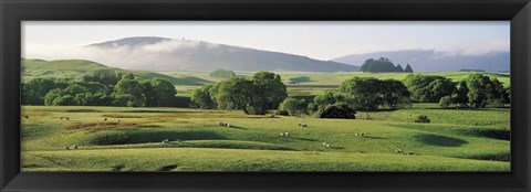 Framed Farmland Southland New Zealand Print