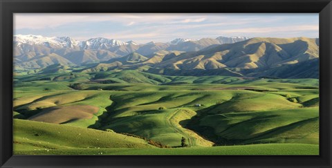 Framed Farmland S Canterbury New Zealand Print