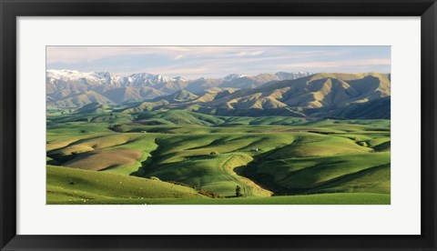 Framed Farmland S Canterbury New Zealand Print