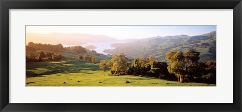 Framed Akaroa Harbor Canterbury New Zealand Print