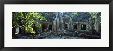 Framed Wat Temple Complex of Ta-Prohm Cambodia Print