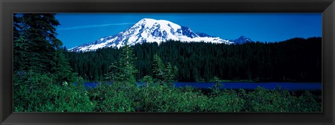 Framed Mt Rainier Mt Rainier National Park WA USA Print