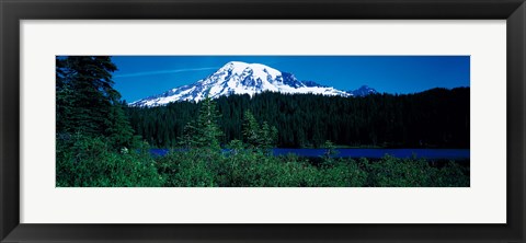 Framed Mt Rainier Mt Rainier National Park WA USA Print