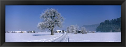 Framed Winter Scenic, Austria Print