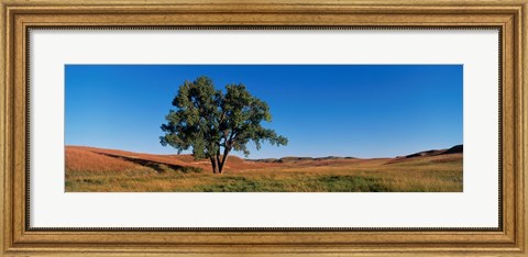 Framed Wind Cave National Park, South Dakota, USA Print