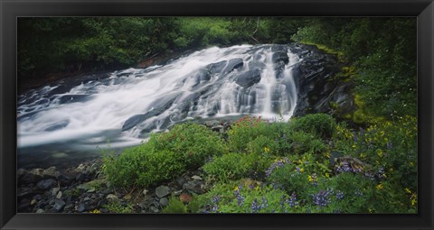 Framed Waterfall in the forest, Mt Rainier National Park, Washington State, USA Print