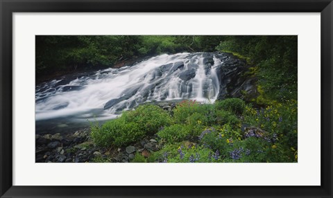 Framed Waterfall in the forest, Mt Rainier National Park, Washington State, USA Print