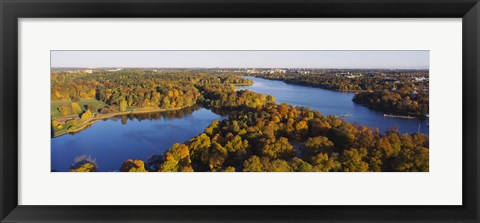 Framed High angle view of a forest, Wenner-Gren Center, Brunnsviken, Stockholm, Sweden Print