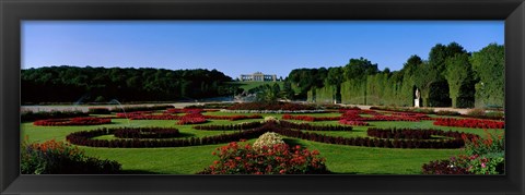 Framed Schonbrun Gardens Vienna Austria Print