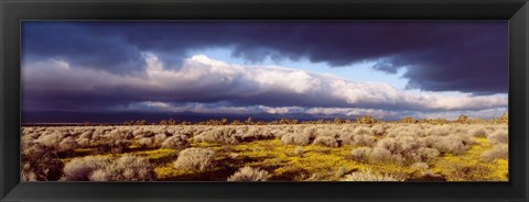 Framed Clouds, Mojave Desert, California, USA Print