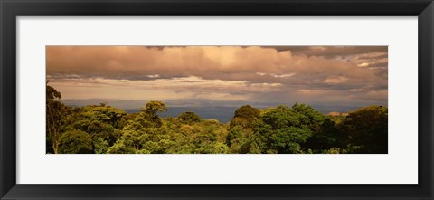 Framed Monteverde Puntarenas Province Costa Rica Print