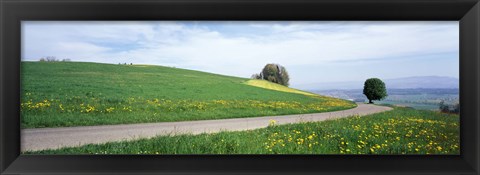 Framed Road Fields Aargau Switzerland Print