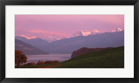 Framed Switzerland, Bernese Alps, Lake Thun Print