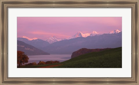 Framed Switzerland, Bernese Alps, Lake Thun Print