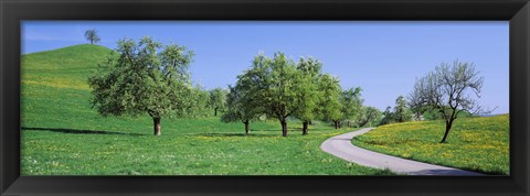 Framed Road Cantone Zug Switzerland Print