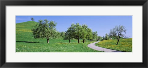 Framed Road Cantone Zug Switzerland Print