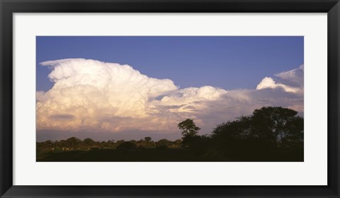 Framed Clouds over a forest, Moremi Game Reserve, Botswana Print