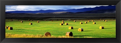 Framed Haystacks, Field, Jackson County, Colorado, USA Print