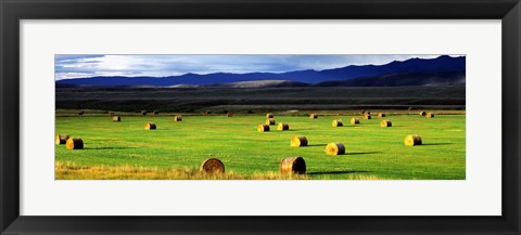 Framed Haystacks, Field, Jackson County, Colorado, USA Print