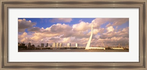 Framed Netherlands, Holland, Rotterdam, Erasmus Bridge Print