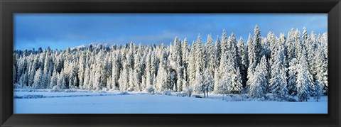 Framed Winter Wawona Meadow Yosemite National Park CA USA Print