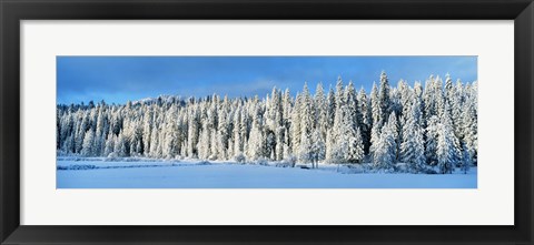 Framed Winter Wawona Meadow Yosemite National Park CA USA Print