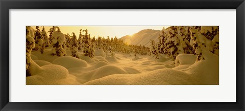 Framed Sunset, Turnagain Pass, Alaska, USA Print