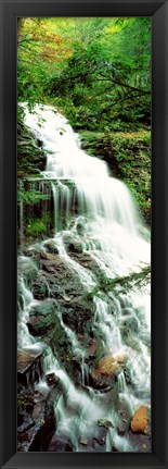 Framed Ganoga Falls Ricketts Glenn State Park PA Print