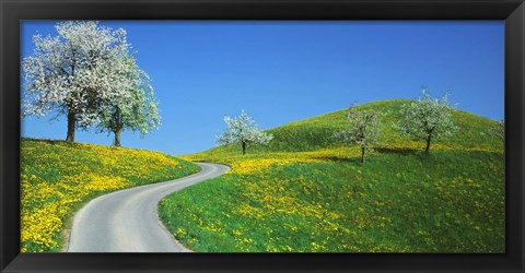 Framed Winding Road Canton Switzerland Print