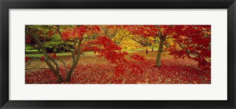 Framed Westonburt Gloucestershire England Print