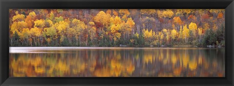 Framed Fall Trees in Laurentide, Quebec, Canada Print