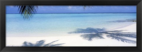 Framed Palm shadows, Laguna Maldives Print