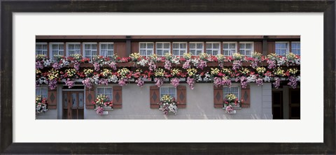 Framed Windows with Colorful Flower Boxes, Appenzell Switzerland Print