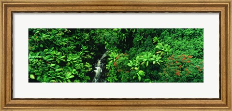 Framed Hamakua Coast, Hawaii, Hawaii, USA Print