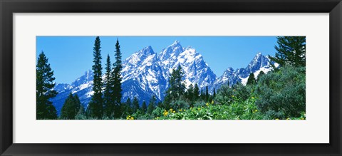 Framed Snow covered peaks, Grand Teton National Park WY Print