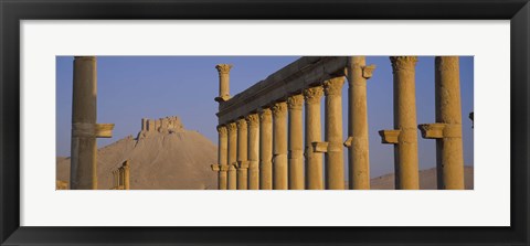 Framed Low angle view of Great Colonnade, Palmyra, Syria Print